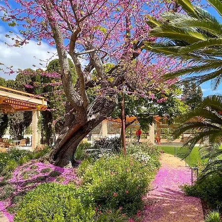 فندق Boutique Mirlo برشلونة