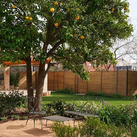 Boutique Mirlo Hotel